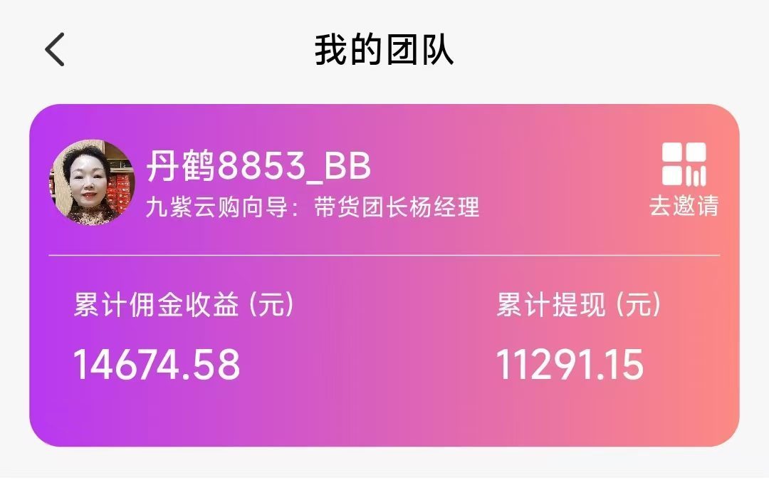 带货团长—丹鹤8853