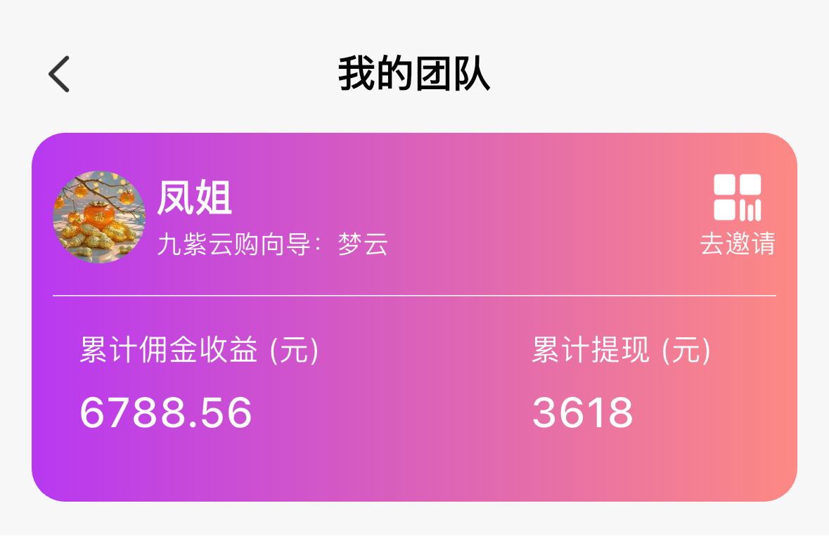 带货团长—凤姐