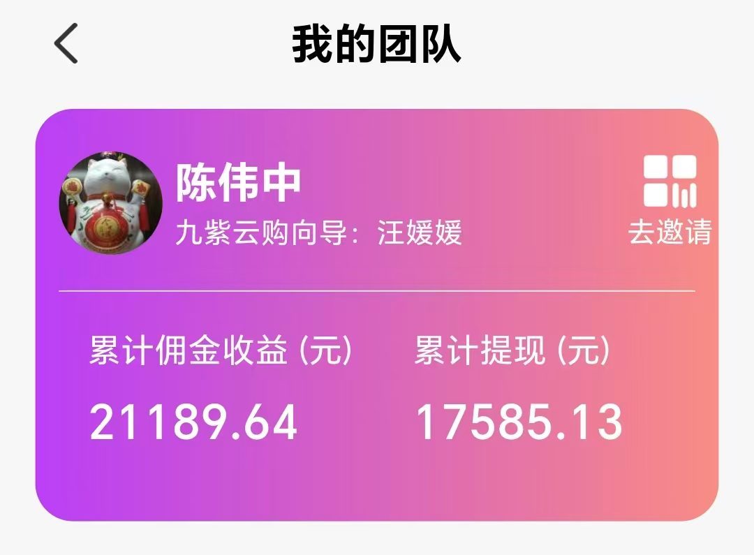 带货团长—陈伟中